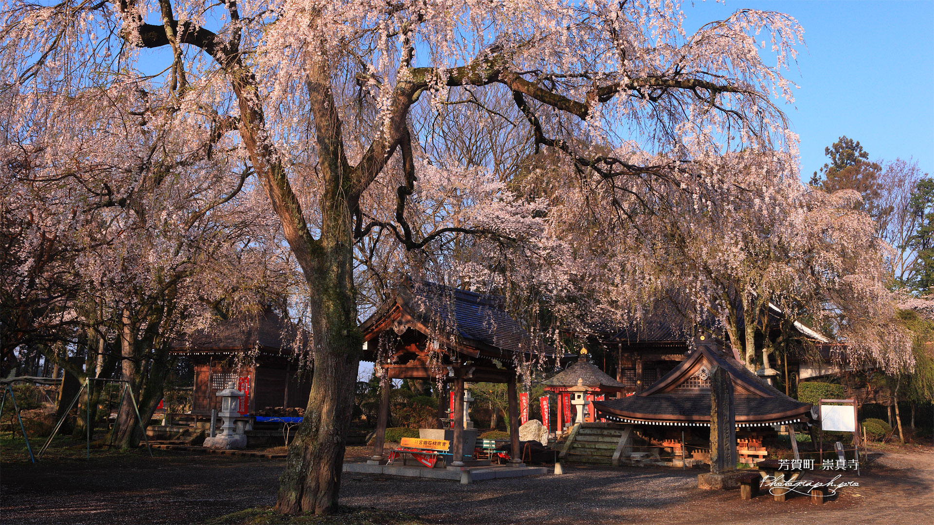 芳賀町 崇真寺の被災