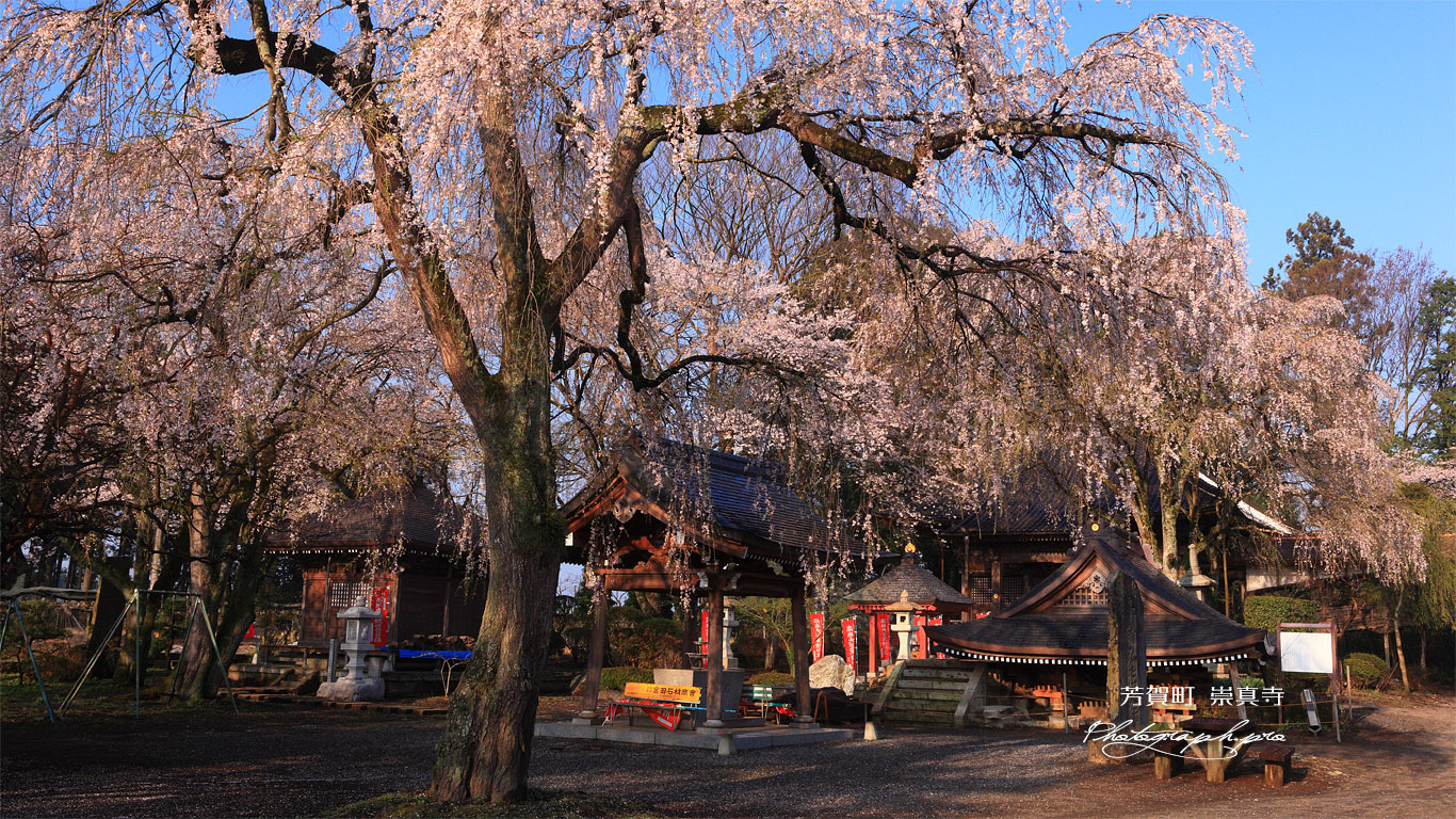 芳賀町 崇真寺の被災 壁紙