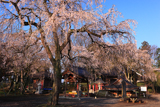 芳賀町 崇真寺の被災