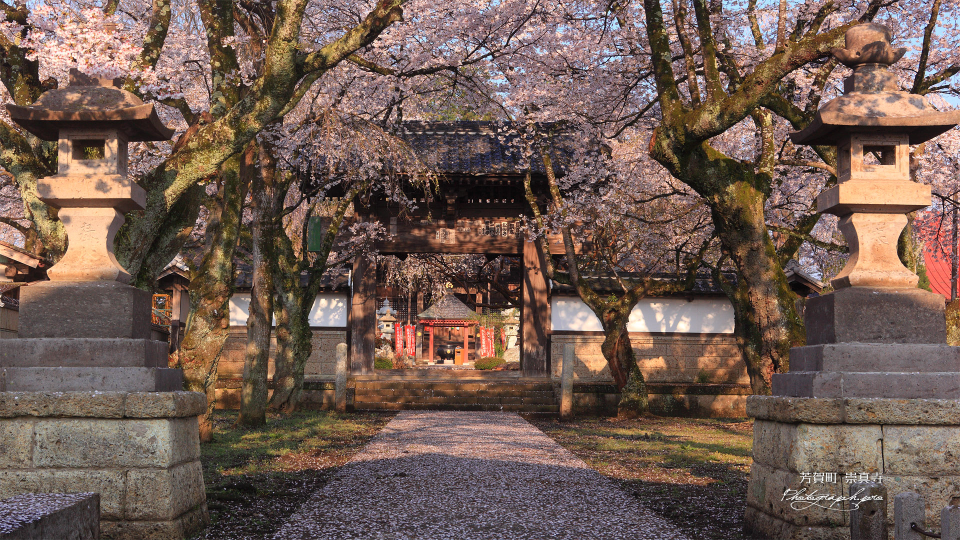 芳賀町 崇真寺再訪