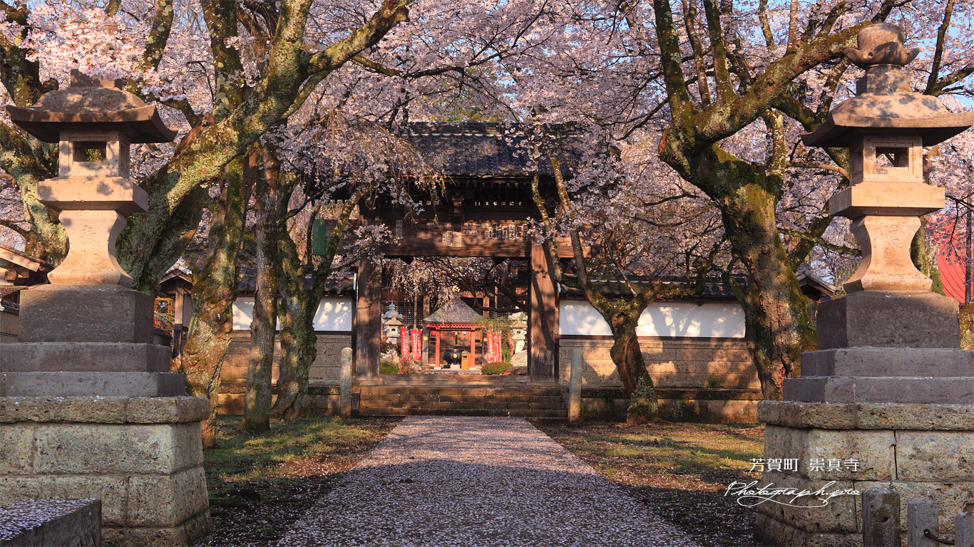 芳賀町 崇真寺再訪 壁紙