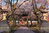 芳賀町 崇真寺再訪