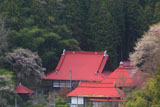 長遠寺のしだれ桜