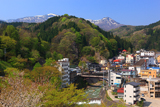 土湯温泉の桜