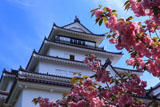 鶴ヶ城 八重桜と天守閣