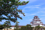 鶴ヶ城 サトザクラと天守閣