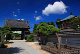 夏空の龍華寺