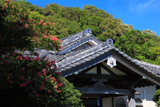 称名寺 サルスベリと庫裡