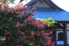 勧行寺