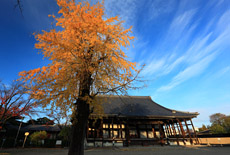 本願寺西山別院