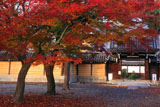 本願寺西山別院 紅葉と山門