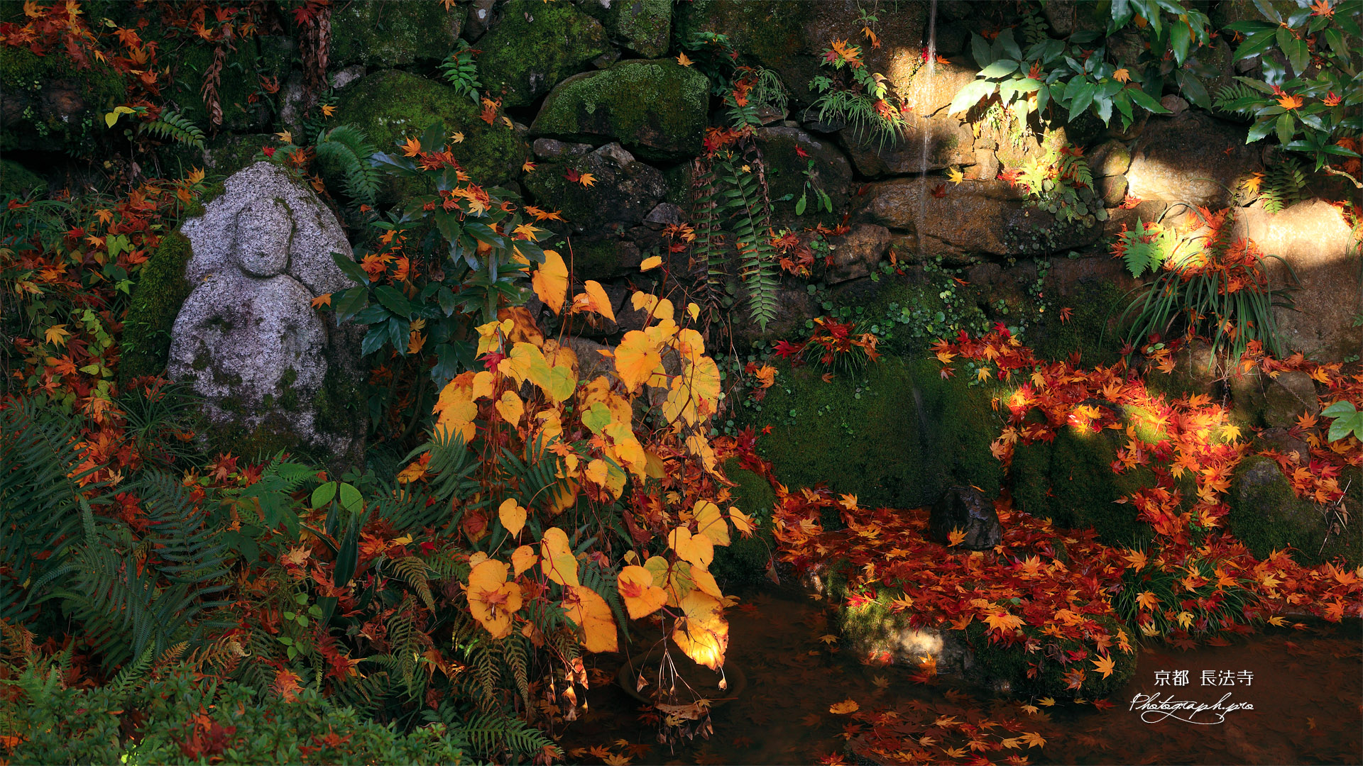 長法寺 朧泉の散紅葉