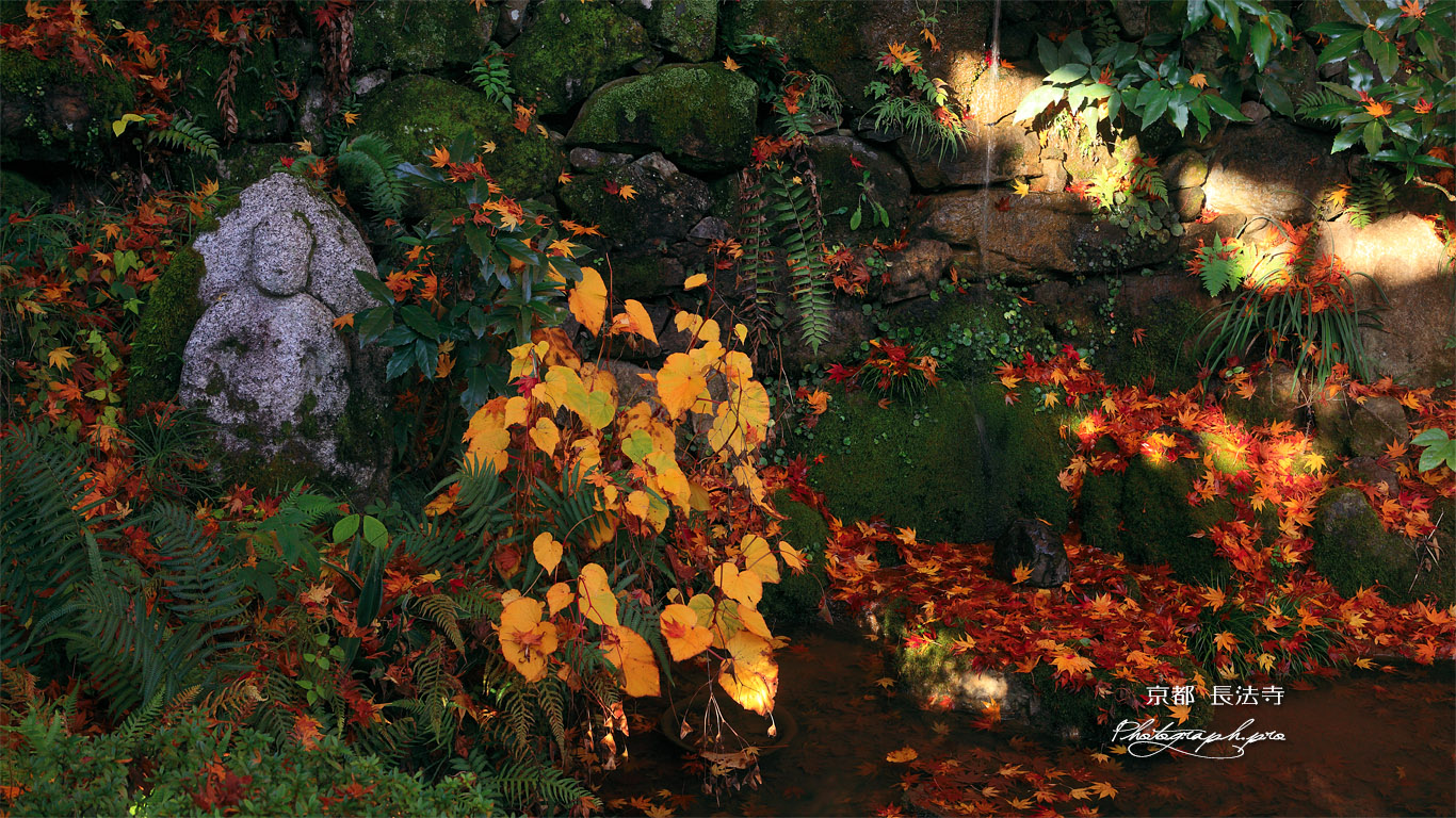 長法寺 朧泉の散紅葉 壁紙