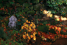 長法寺