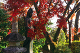 長法寺 観音菩薩と紅葉