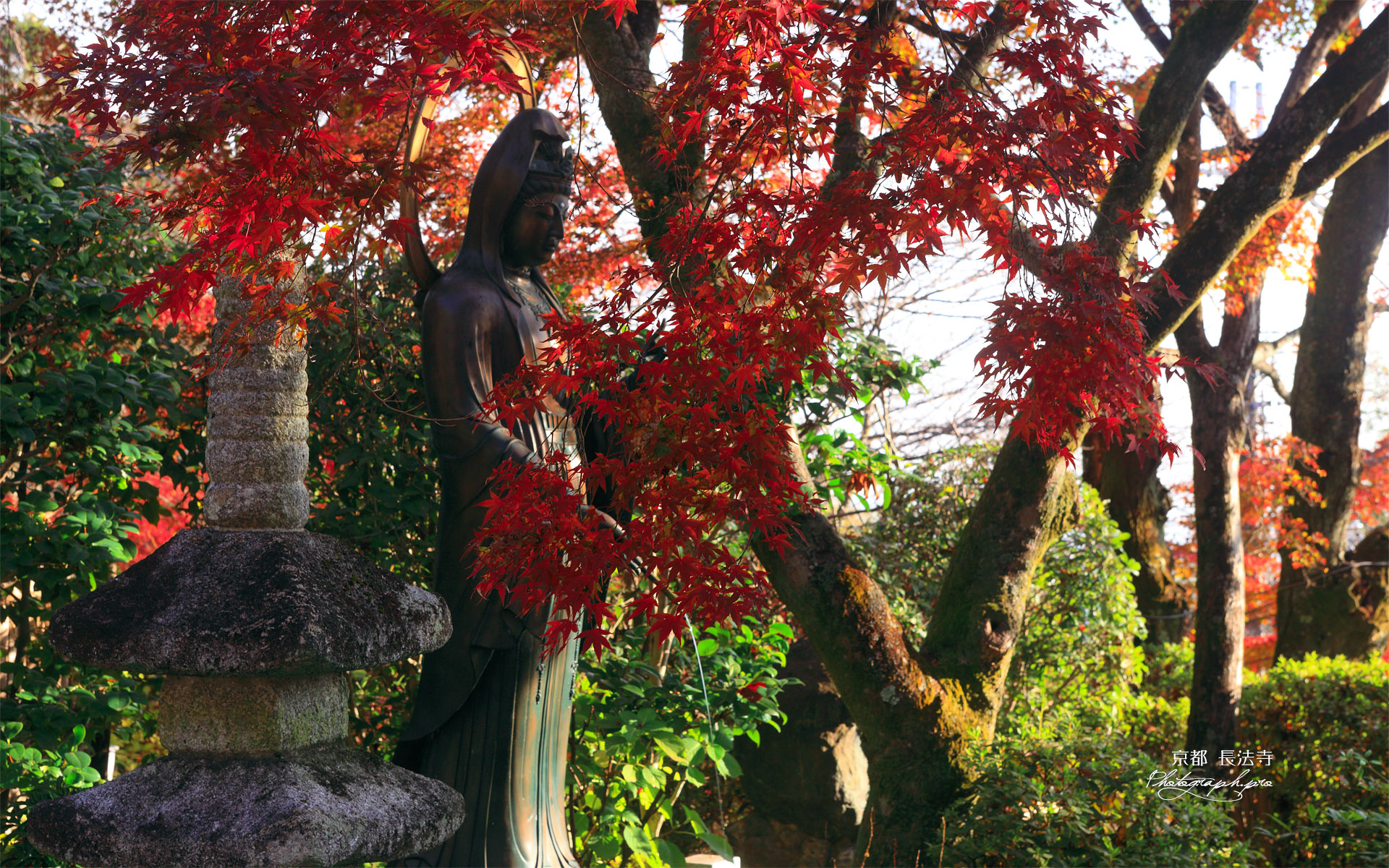 長法寺 観音菩薩と紅葉