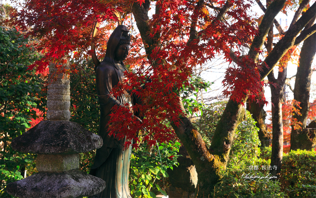 長法寺 観音菩薩と紅葉 壁紙
