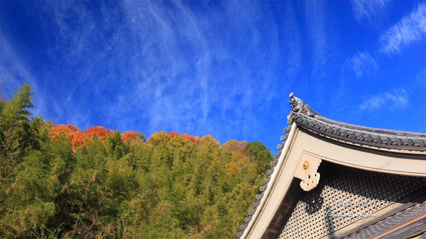 長法寺 本堂と秋空 壁紙