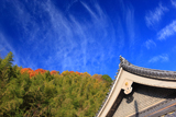 長法寺 本堂と秋空