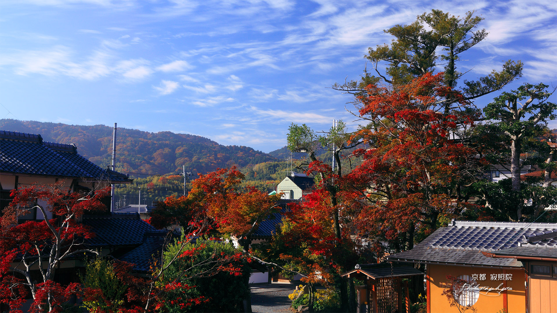 寂照院 紅葉の境内