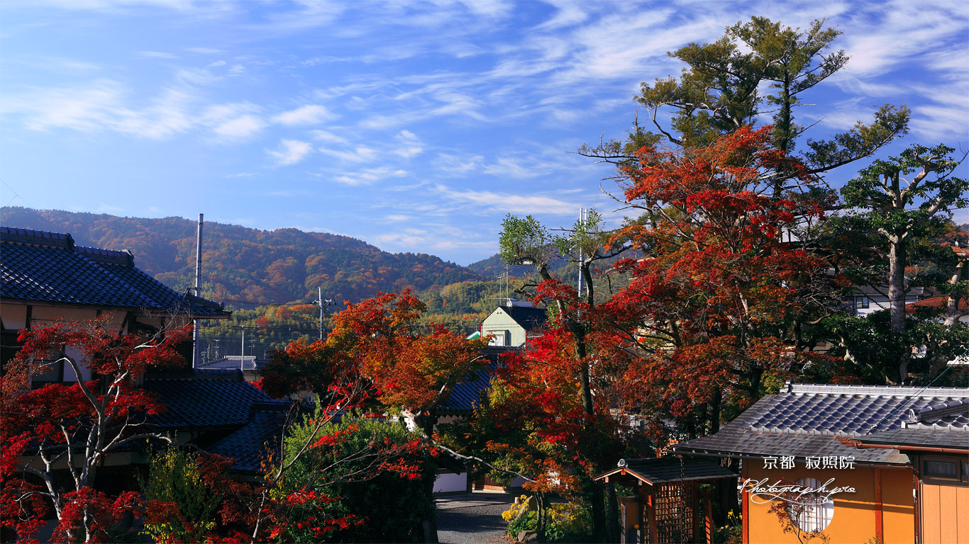 寂照院 紅葉の境内 壁紙