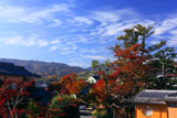 寂照院 紅葉の境内