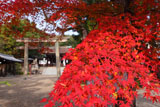離宮八幡宮