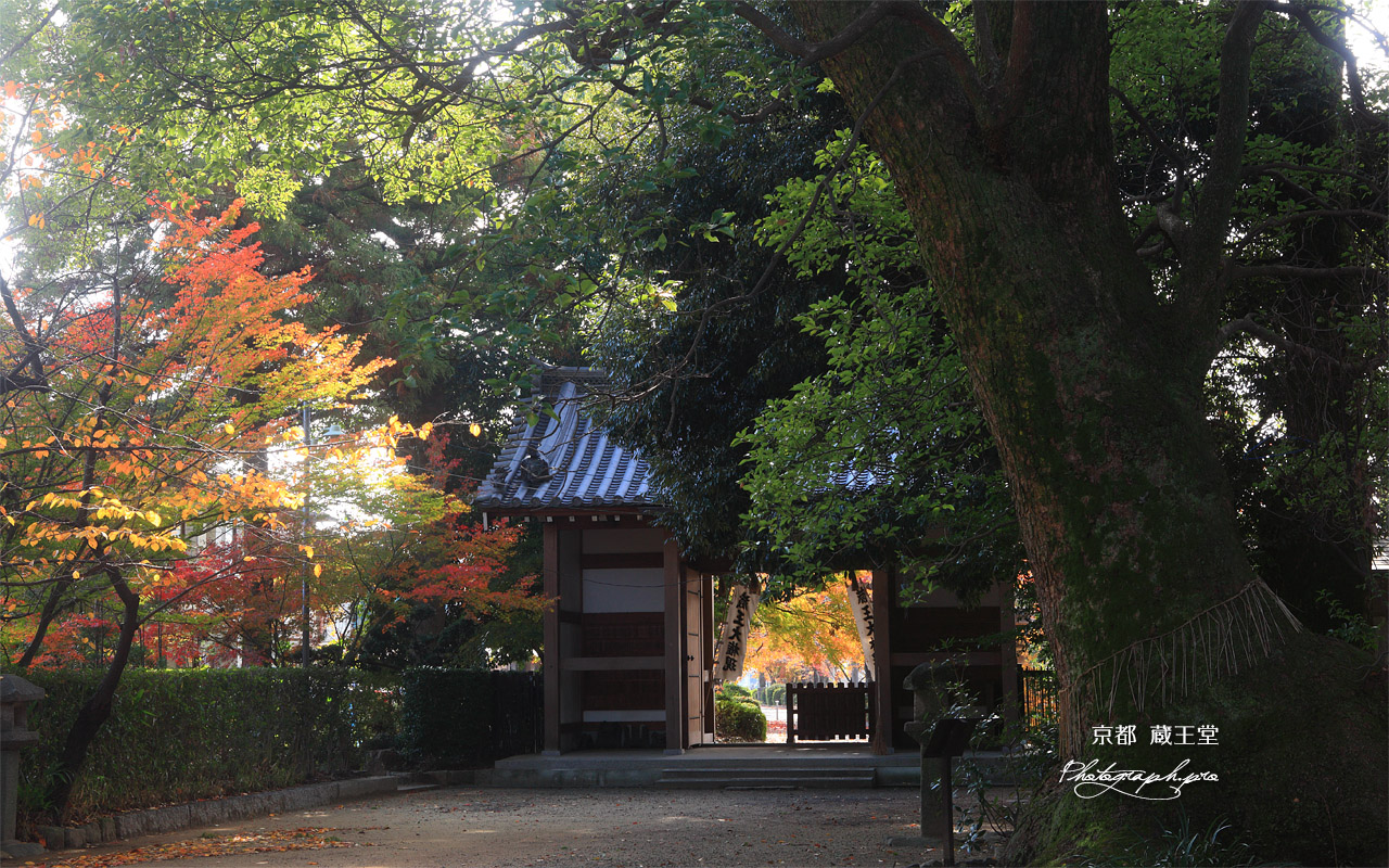 京都蔵王堂 紅葉と仁王門 壁紙