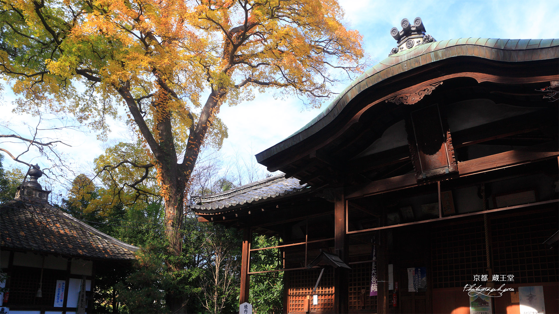 光福寺 黄葉の蔵王堂と不動堂