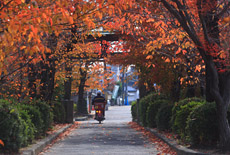 光福寺