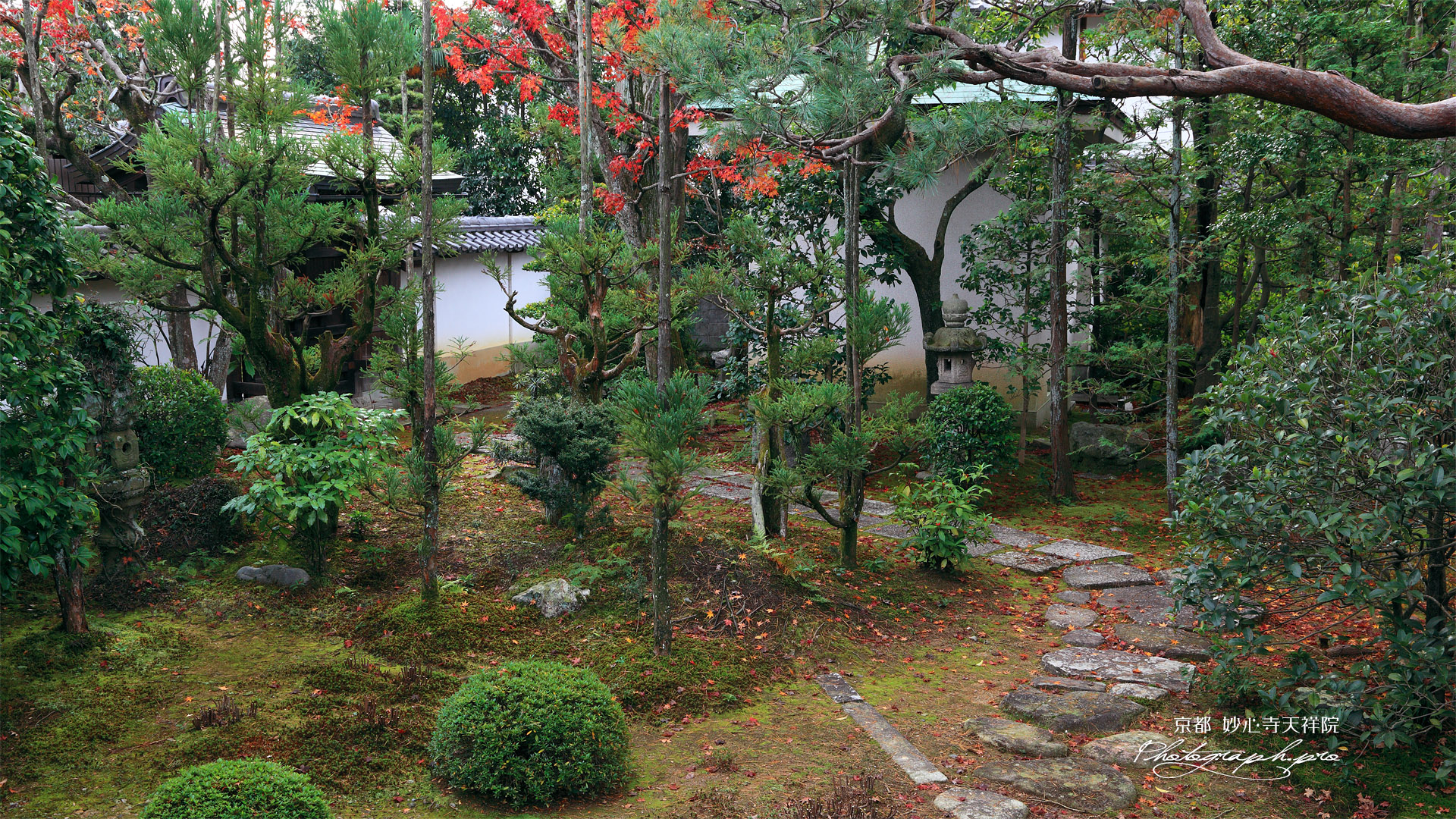 天祥院 紅葉の庭園