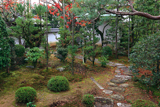 天祥院 紅葉の庭園