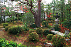 天祥院