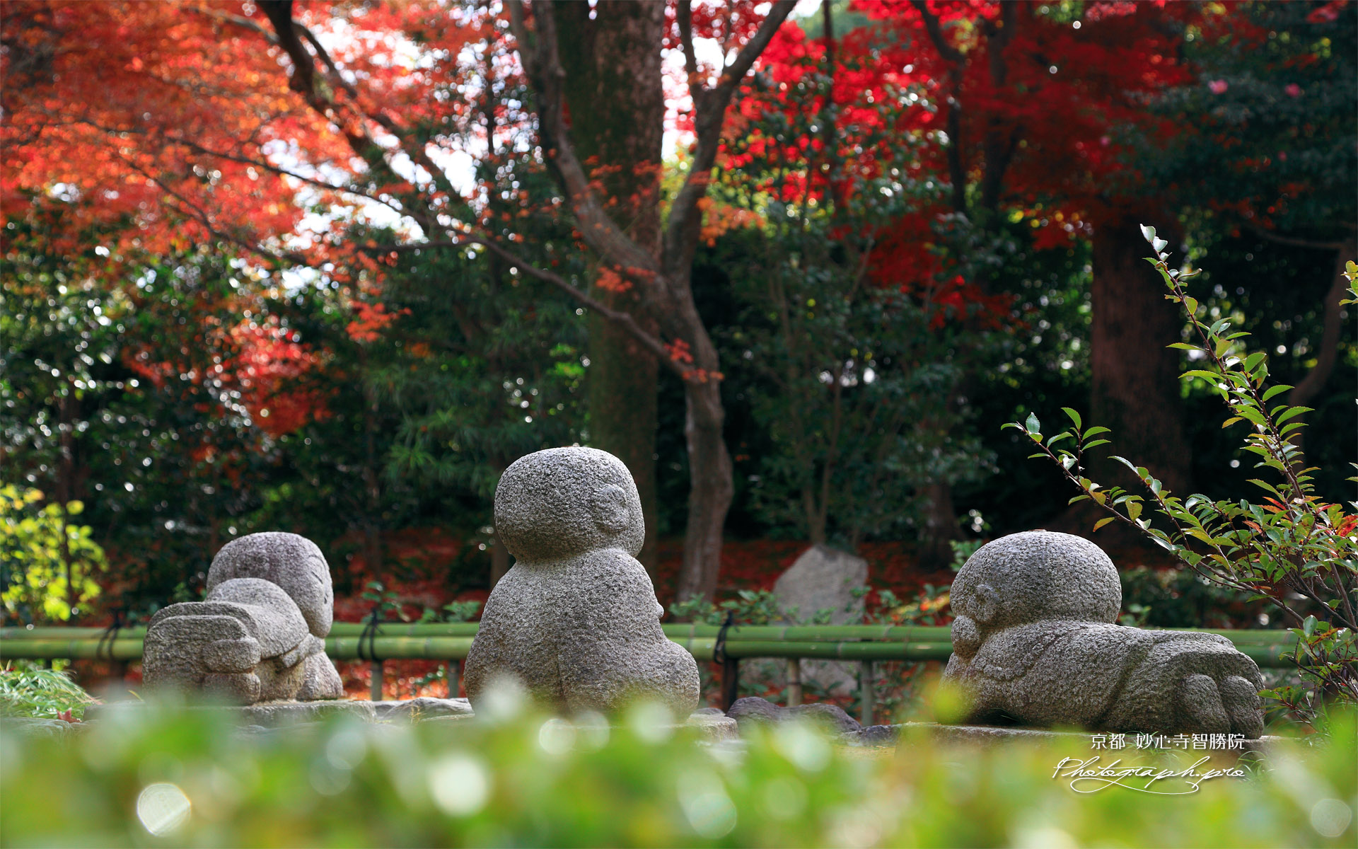 智勝院 童像と紅葉