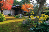 麟祥院