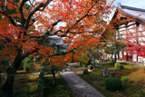 麟祥院 紅葉と庫裡