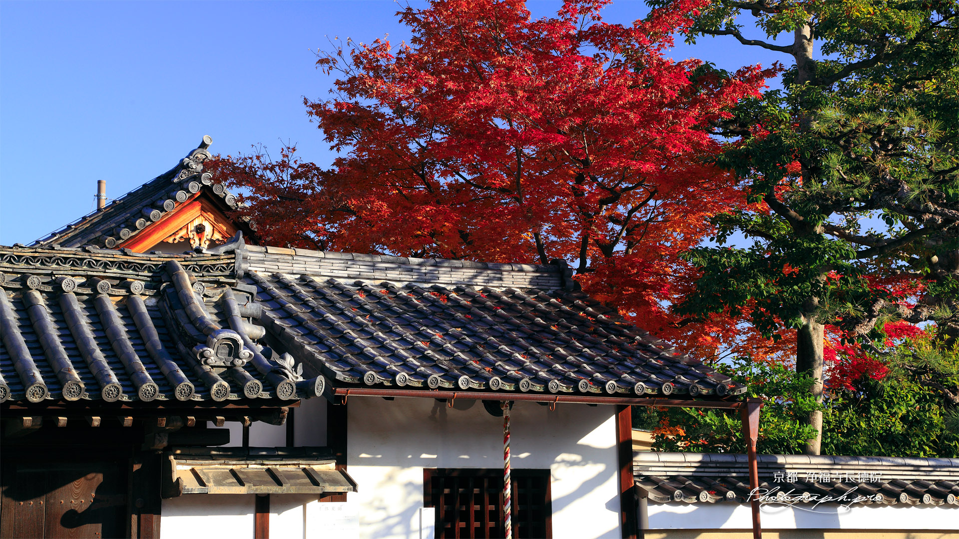 浄福寺長徳院の紅葉