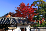 浄福寺長徳院の紅葉