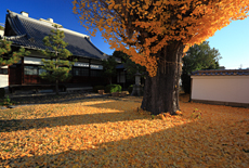 慧光寺