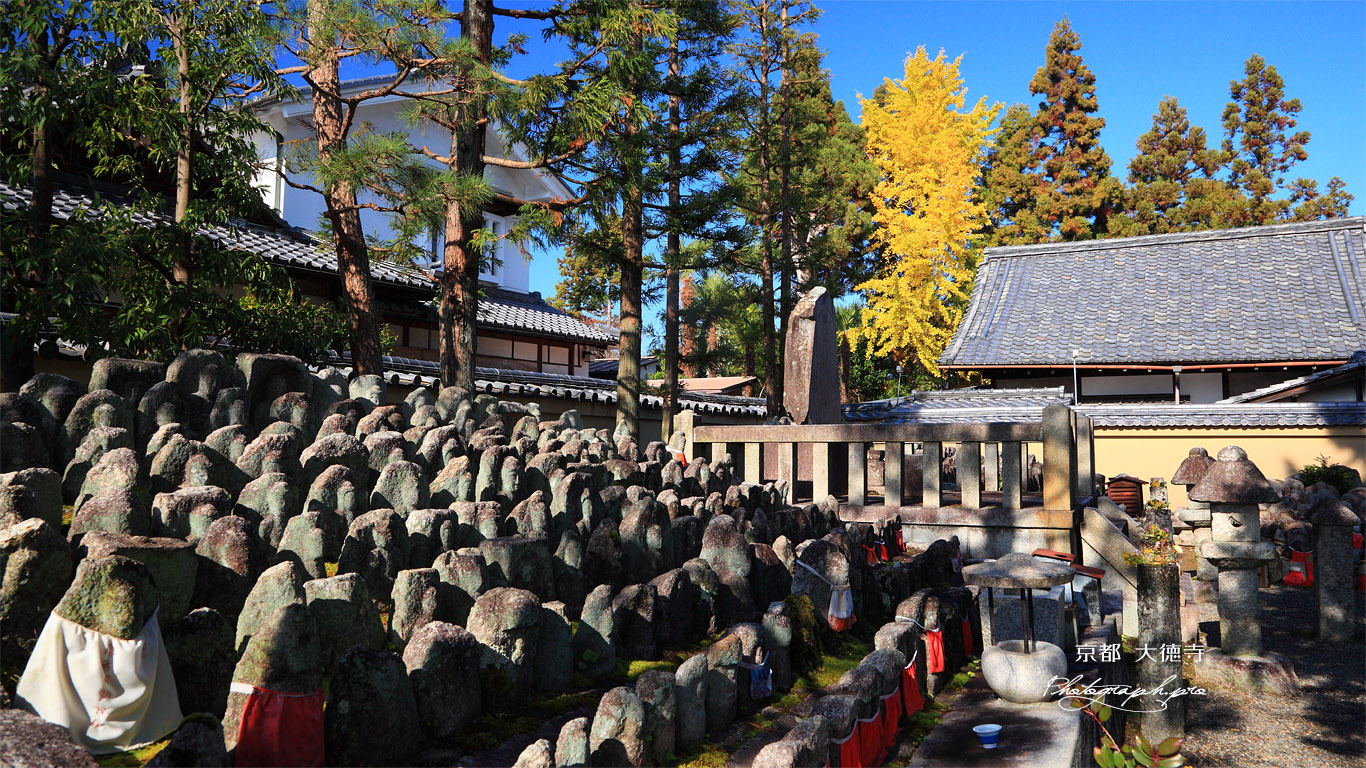 大徳寺 千躰地蔵塚と公孫樹黄葉 壁紙
