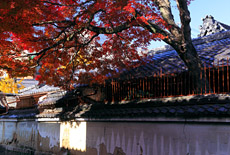 下御霊神社