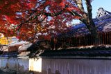下御霊神社