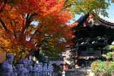 革堂 七福神像と紅葉