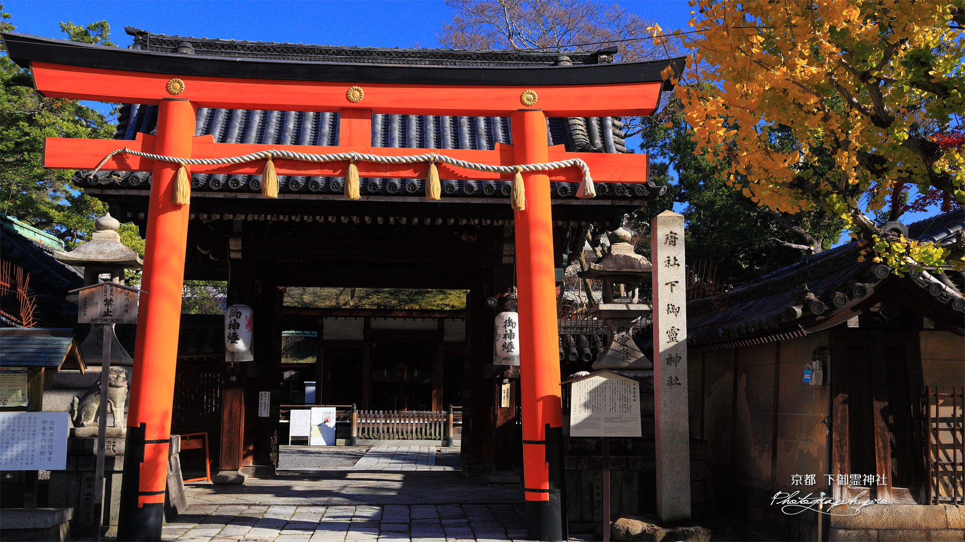 下御霊神社 表門と銀杏黄葉
