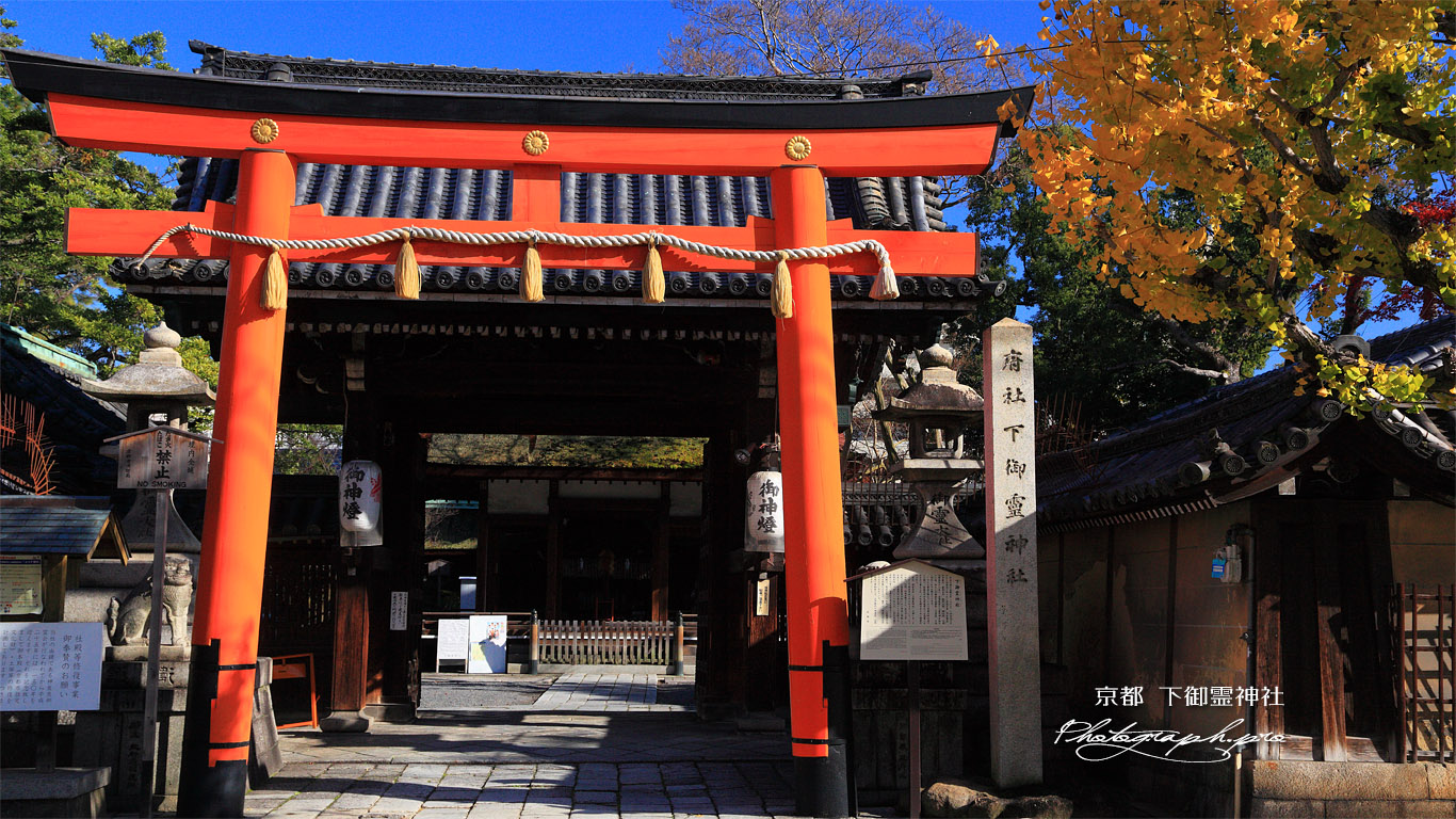 下御霊神社 表門と銀杏黄葉 壁紙