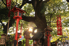 若一神社