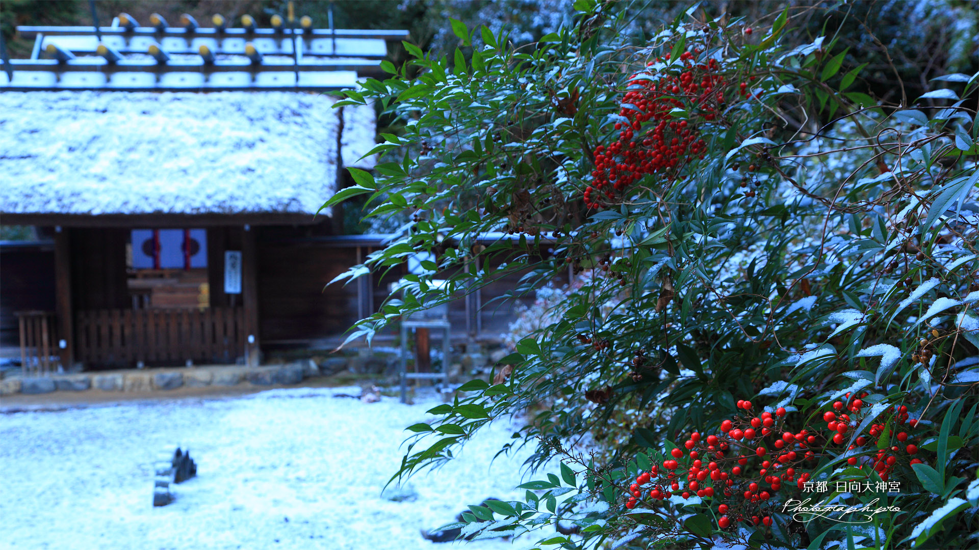 日向大神宮 南天と淡雪の外宮