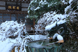 成就院 冠雪した手水鉢の龍