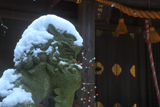 甘縄神明神社 冠雪した狛犬