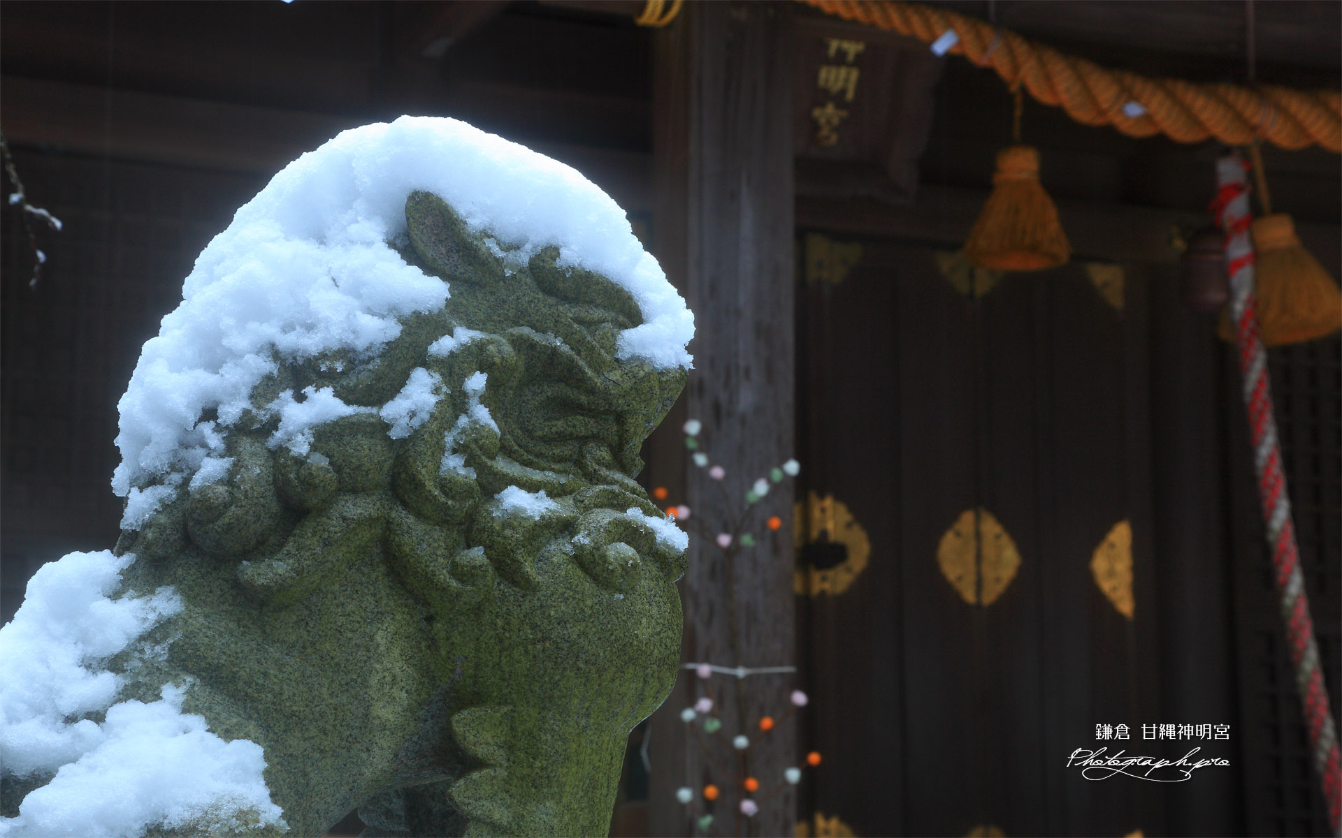 甘縄神明神社 冠雪した狛犬